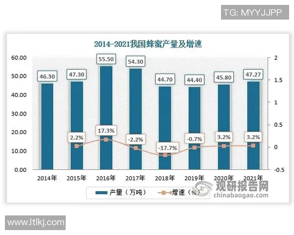 深入探讨上海足球队比赛经验与表现的综合数据分析与趋势解读