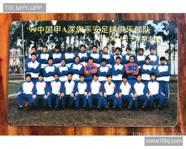 深圳排球队的蜕变之旅：从传统强队到现代化竞技新标杆